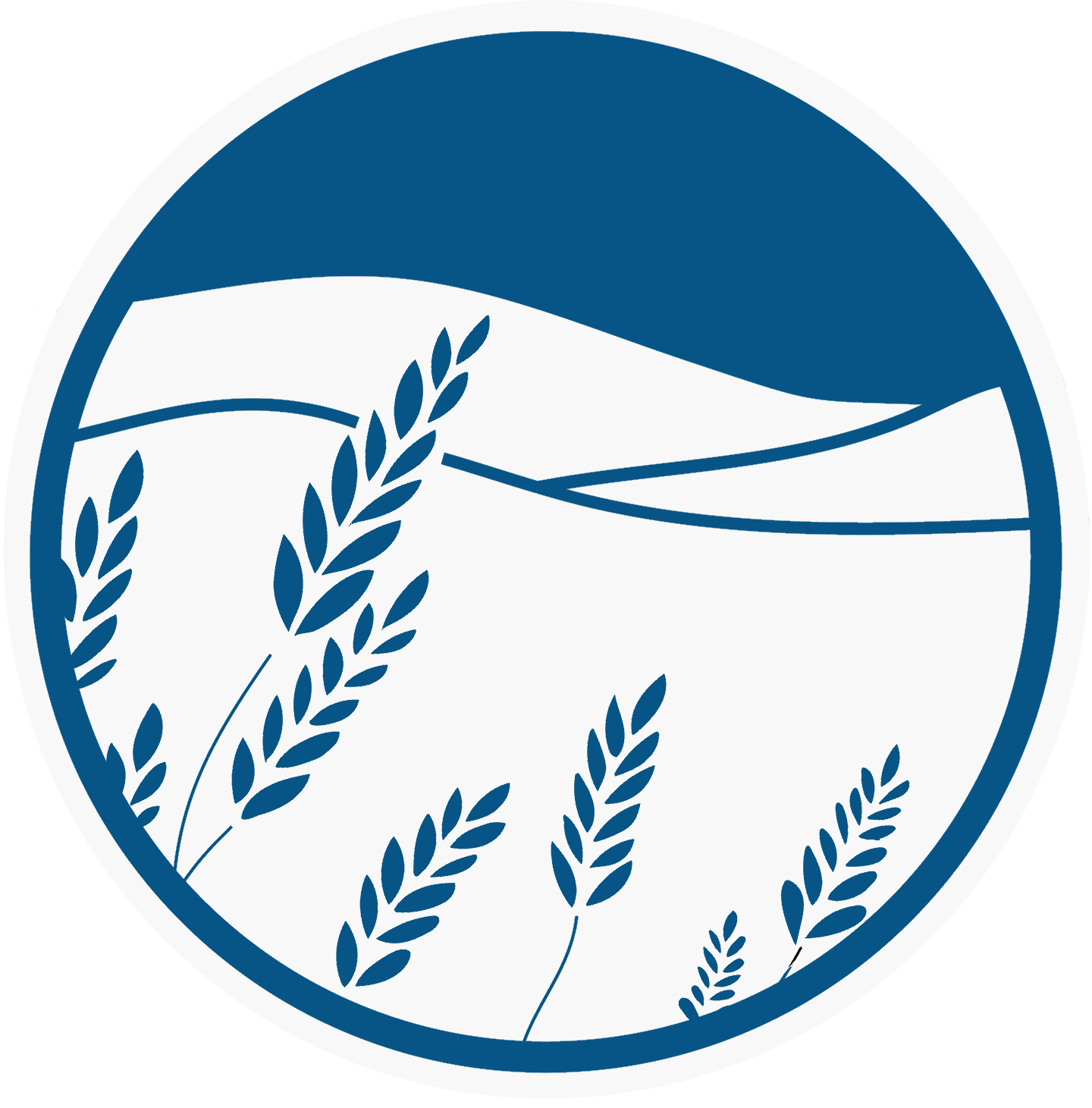Blue Mountain Broadcasting